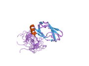 2dne: Solution Structure of RSGI RUH-058, a lipoyl domain of human 2-oxoacid dehydrogenase