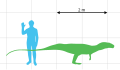 Scale diagram of Poposaurus gracilis
