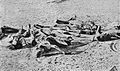 Corpses of Famine Victims enhaced