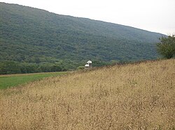 Farm and mountain in Walker Township