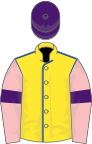 Yellow, royal blue seams, pink sleeves, purple armlets, purple cap