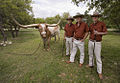 Bevo XIV with his Texas Silver Spurs Handlers