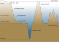 Image 50Cross-section of an ocean basin. Note significant vertical exaggeration. (from Demersal fish)