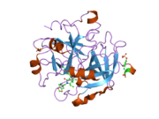1ypj: Thrombin Inhibitor Complex