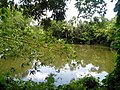 Shaheb Bari Pond