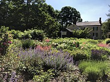 The historic Florence Griswold Museum Gardens in Old Lyme, CT in bloom, June 2020.