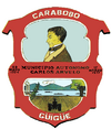 Official seal of Carlos Arvelo Municipality