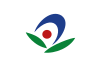 Flag of Akiruno