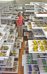 Thumbnail for Museum of Comparative Zoology