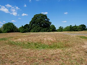 Early medieval burial mounds in Greenwich Park