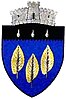 Coat of arms of Ulma