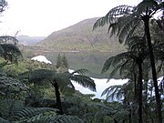 View of Lake Rotokākahi June 2011