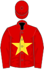 Red, yellow star, based on the Vietnamese flag.