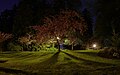 Four image panorama of Washington Park, 30 second exposures each.