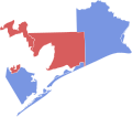 1996 TX-09 runoff election