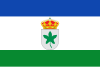 Flag of Higuera