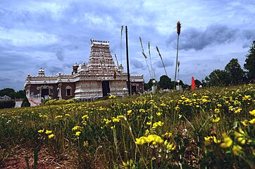 Sri Venkateswara Temple in Bridgewater, New Jersey, in a semi-rural setting, serves as the flagship for the Hindu Temple and Cultural Society of USA