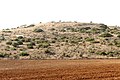 Hilltop ruin of Tell el-Beida (Lavnin)