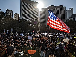 A protester waving the American flag