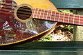 Redhead Mandocello by Nevin Fahs (luthier) - 5. body front & fretboard
