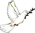 Okay, I know we had some disagreements in the past, and I said a lot of things I shouldn't have. So I offer this Peace dove to you. I'm sorry :). Extraordinary Machine 12:44, 25 September 2005 (UTC)