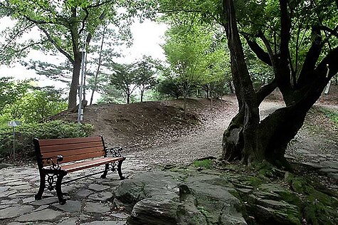 A hiking trail in Wolmyeongdong close
