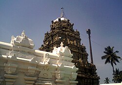 Sri Kurmam Temple view