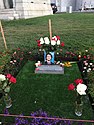 Anton Yelchin's grave at Hollywood Forever Cemetery
