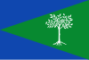 The flag of Aliseda