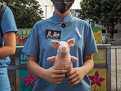 A student holding a LIHKG Pig stuffed animal. The pig's injury alludes to the August 11 incident when a young woman was injured to the eye.