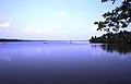 Lagoon near the Cherai Beach in Ernakulam