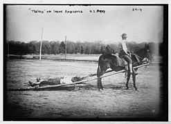 US Army mule & travois "ambulance", circa early 1900s