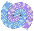 The Voderberg tiling, a spiral, monohedral tiling made of enneagons
