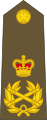 (New Zealand Army)[26]