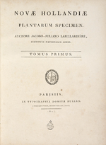 Thumbnail for Novae Hollandiae Plantarum Specimen
