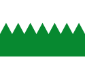 Flag of Carrocera
