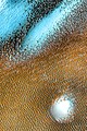 Mars blue dunes (April 12, 2021).
