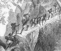Traveling By Silla, by Frederick Catherwood. Scene in Chiapas. Engraving from 1841 book, "Incidents of Travel in Central America, Chiapas, and Yucatan" by John Lloyd Stephens.
