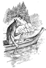 An illustration of an anthropomorphic coyote in a canoe