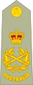 Australian Army field marshal shoulder board