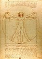 Image 40Vitruvian Man by Leonardo da Vinci epitomizes the advances in art and science seen during the Renaissance. (from History of Earth)