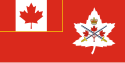 Flag of the Canadian Army since July 2016.