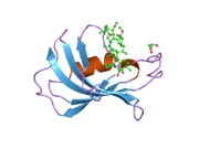 2dg4: FK506-binding protein mutant WF59 complexed with Rapamycin