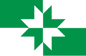 Flag of Rapla Parish