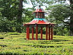 Chinese Pavilion, at centre of maze