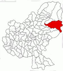 Location in Mureș County