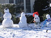 A "snow family" in Boise, Idaho with various accessories