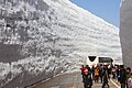 A snow wall on the Tateyama Kurobe Alpine Route (Toyama)