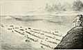 Image 54Depiction of the Donner Party heading west on the California Trail. (from History of California)