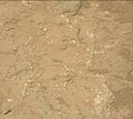 "Knorr" sedimentary rock on Mars – as viewed by the MastCam on Curiosity (December 20, 2012).[14]